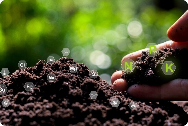 Beautiful system of nature fertile land image