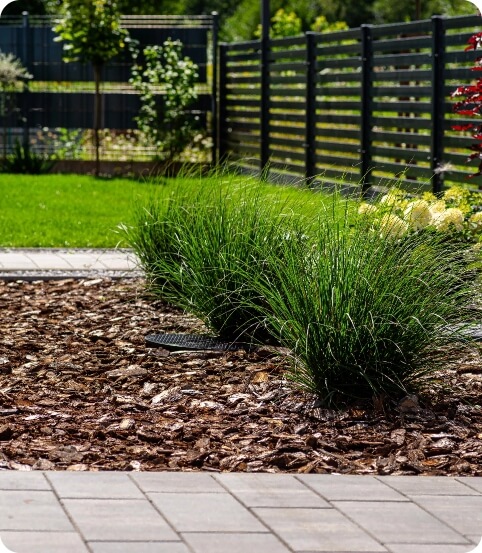 Fertilize land full of grass image