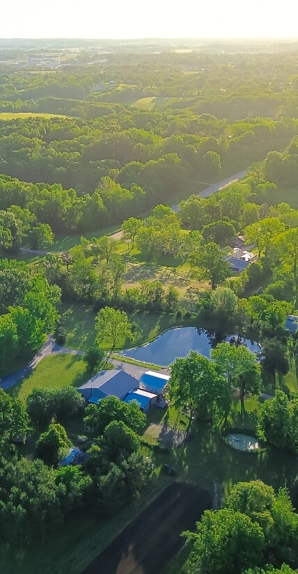 House full of trees bg image sm