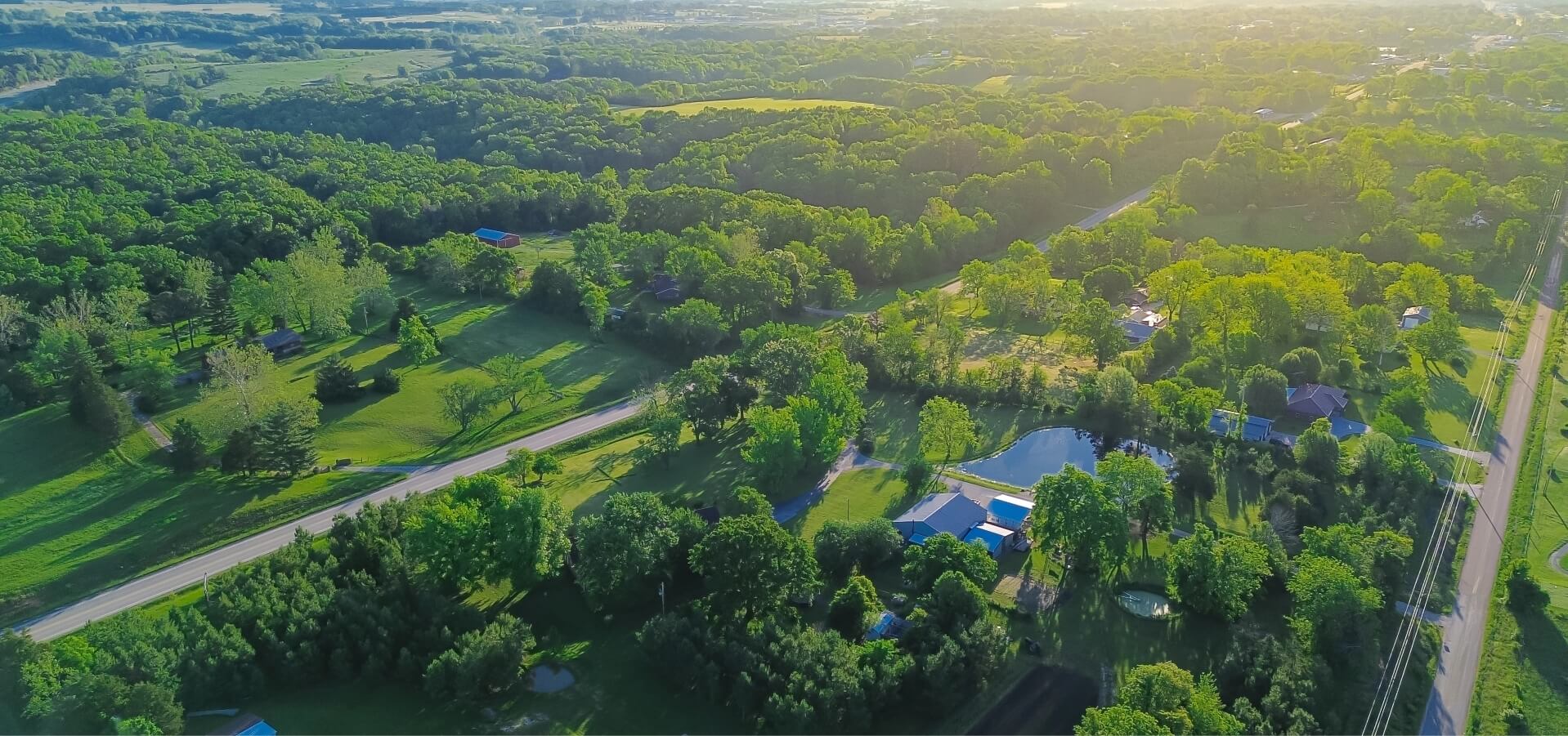 House full of trees bg image