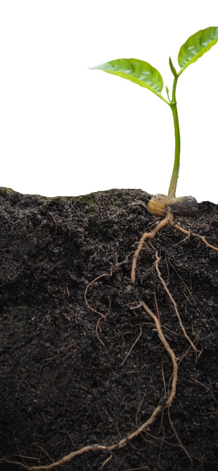 Soil restoration hero image sm